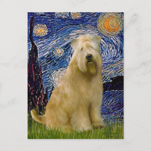Starry Night (V) - Wheaten Terrier Vykort (Framsida)