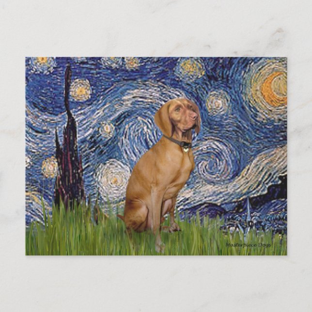 Starry Night - -Vizsla 2 Vykort (Framsida)