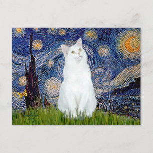 Starry Night - White cat Vykort
