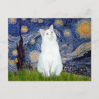 Starry Night - White cat Vykort