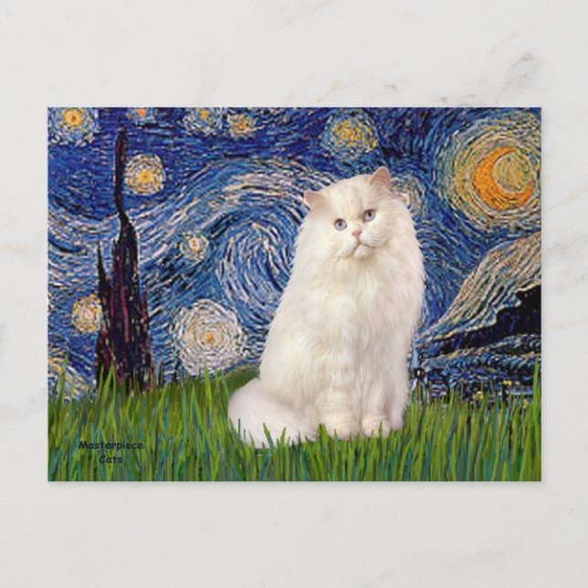 Starry Night - White Persian cat Vykort (Framsida)
