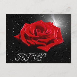 Starry Romantic Night Vykort