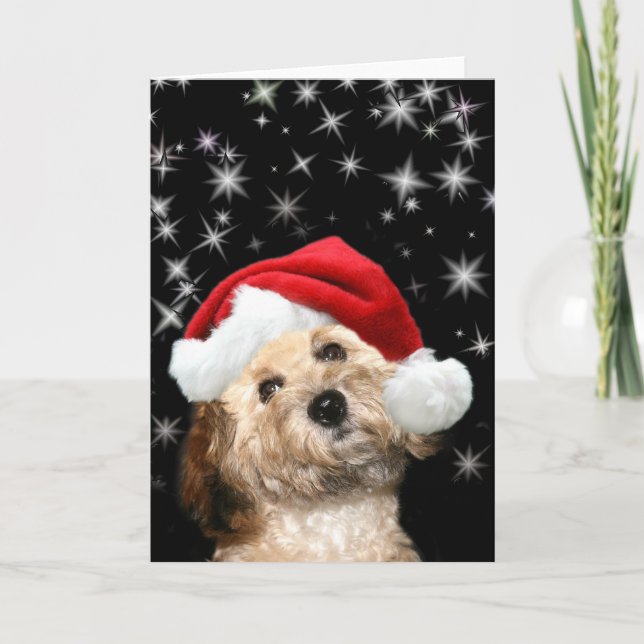 Starry Santa hund Helgkort (Framsida)
