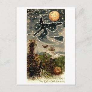 Starry Witch på Broomstick Vykort