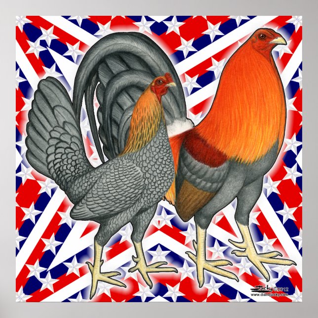 Stars och stripes Gamefowl Poster (Framsidan)