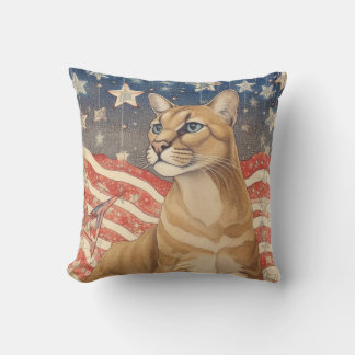 Stars och stripes kudde