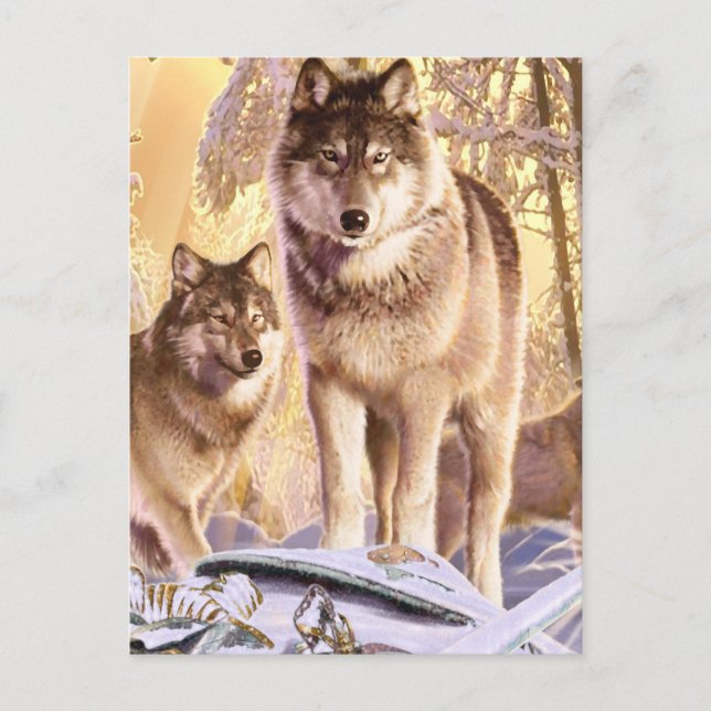 "Stars under Snö" Vykort (Framsida)