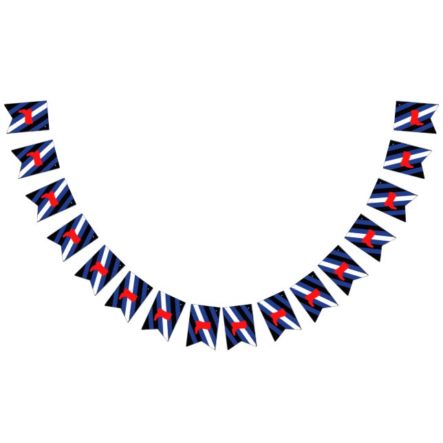 Starta Prideflagga Vimplar (Alla)