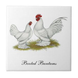 Startade Bantams Kakelplatta