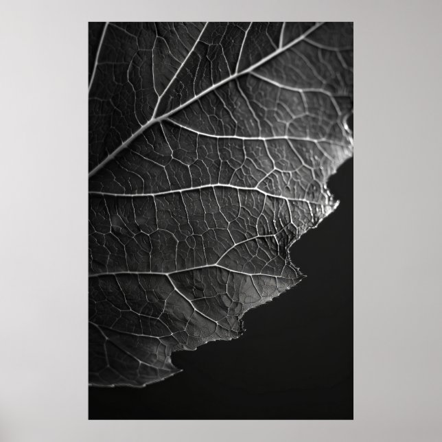Startande makrofoto av Nathan Wirth - Close Poster (Framsidan)