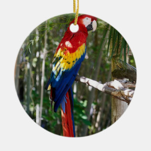 Startande Scarlet Macaw Parrot Julgransprydnad Keramik