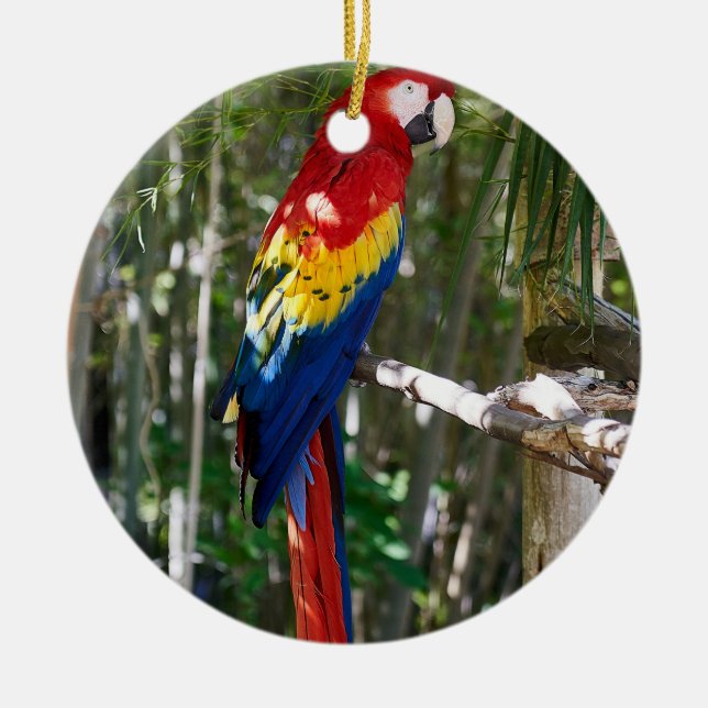 Startande Scarlet Macaw Parrot Julgransprydnad Keramik (Framsidan)