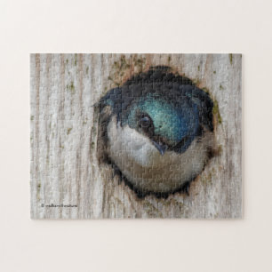 Startande Träd Sväljer i en Nestbox Pussel