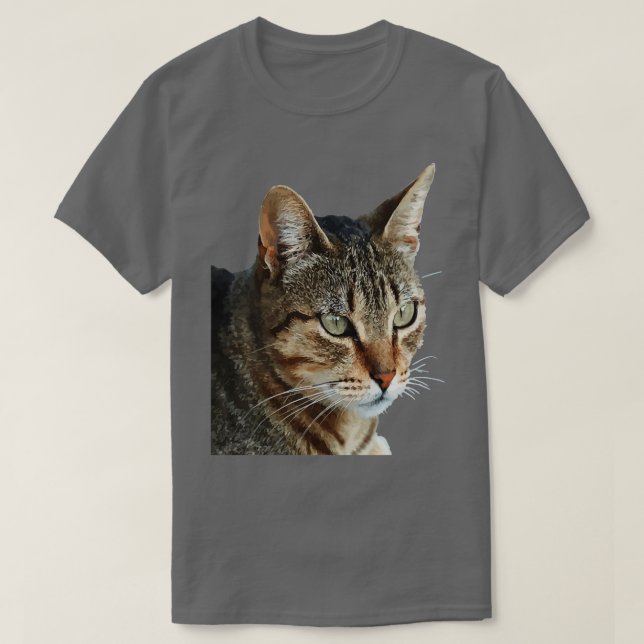 Startar Porträtt-vektorn i Tabby katt T Shirt (Design framsida)