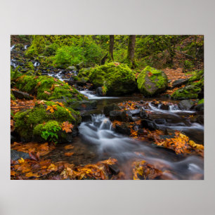 Starten Bäck Falls Columbia Gorge, Oregon Poster