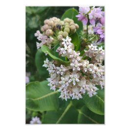 Starting Färg Fototryck