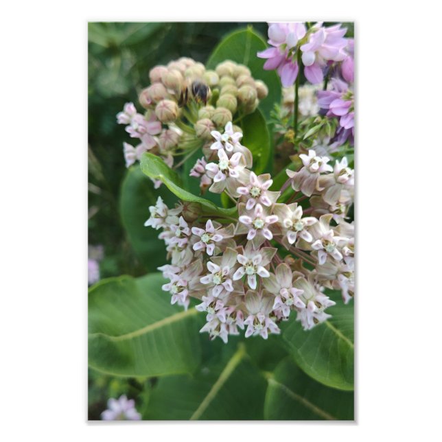 Starting Färg Fototryck (Framsidan)