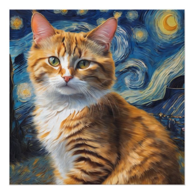 Starting Nattkonst med ett katt Fototryck (Framsidan)