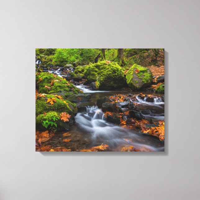 Starvation Creek Falls | Columbia Gorge, Oregon Canvastryck (Framsida)