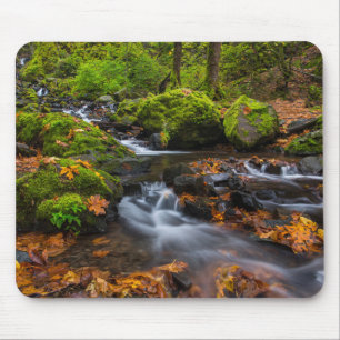 Starvation Creek Falls Columbia Gorge, Oregon Musmatta