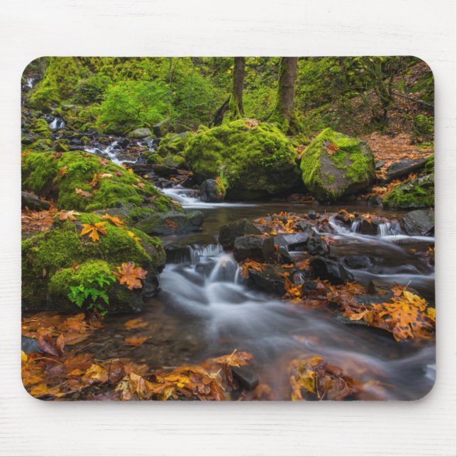 Starvation Creek Falls | Columbia Gorge, Oregon Musmatta (Framsidan)