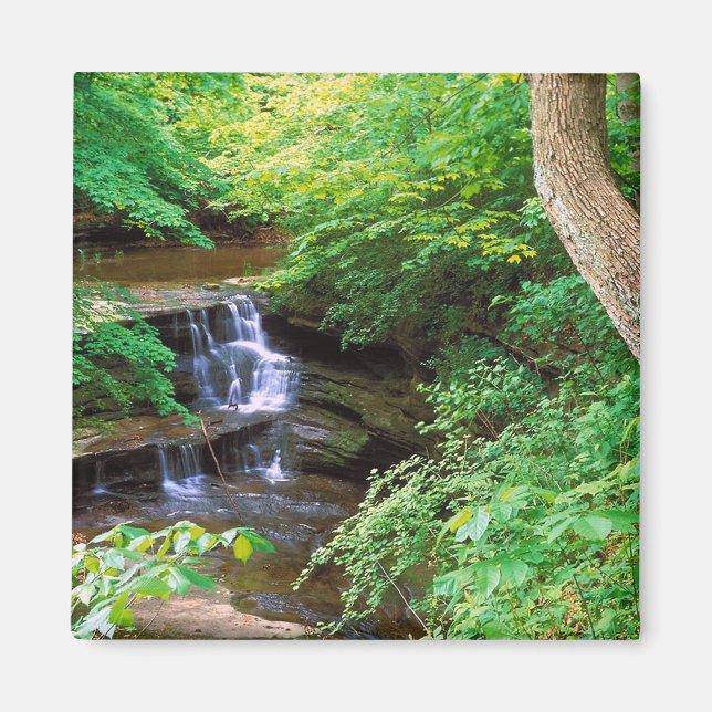 Starved Sten Park, Illinois Magnet (Framsidan)