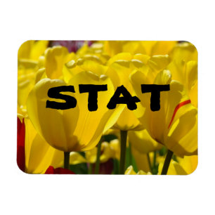 STAT magnet Nursing Medicine Tulip magnet Blommigt