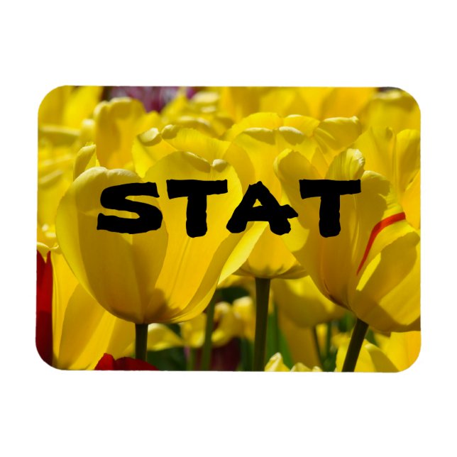 STAT magnet Nursing Medicine Tulip magnet Blommigt (Horisontell)