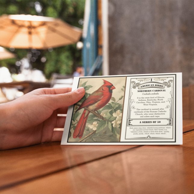 State Bird Collection, kardinal, anpassade Tack Kort (Skapare uppladdad)