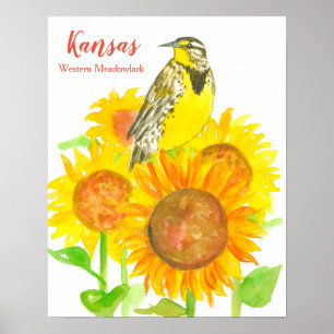 State Bird of Kansas Meadowlark Sunblomma Poster