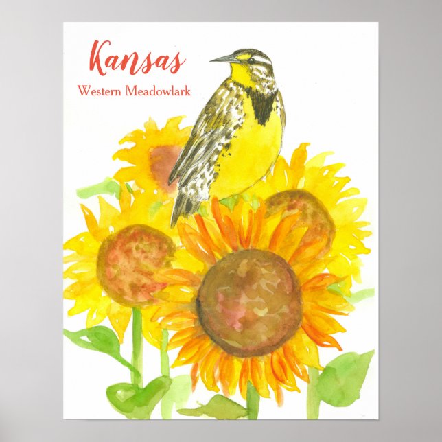 State Bird of Kansas Meadowlark Sunblomma Poster (Framsidan)