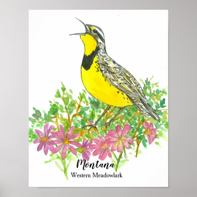 State Bird of Montana Meadowlark Bitterroot Flower Poster (Framsidan)