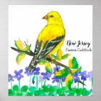 State Bird of New Jersey Eastern Goldfinch