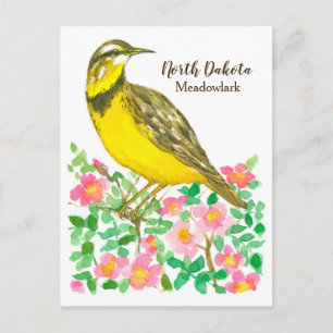 State Bird of North Dakota Meadowlark Ro Vykort