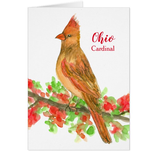 State Bird of Ohio Cardinal Blank Hälsningskort (Framsidan)