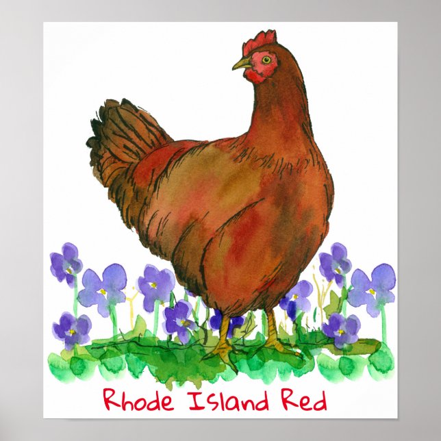 State Bird of Rhode island Red Hen Chicken Violets Poster (Framsidan)