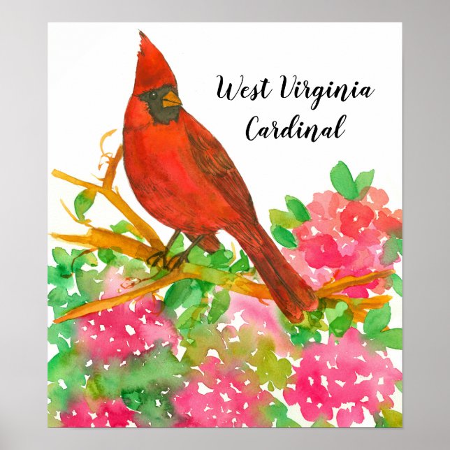 State Bird of Väster Virginia Cardinal Rhododendro Poster (Framsidan)