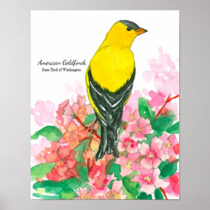 State Bird of Washington American Goldfinch Gult Poster