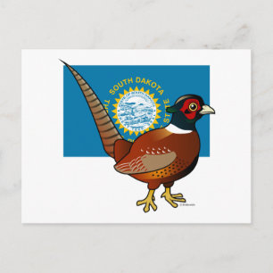 State Birdorable of South Dakota: Common Pheasant Vykort
