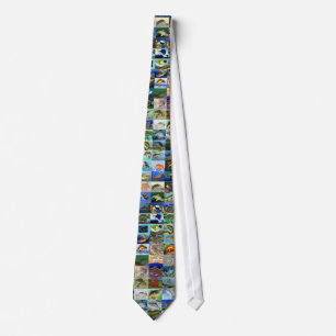 STATE--FISHKONSTTÄVLING TIE2 SLIPS
