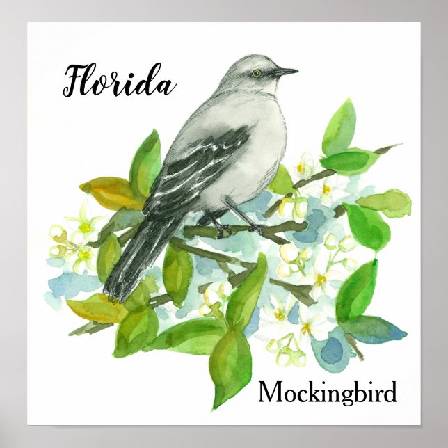 State Flower of Florida Orange Blommar Mockingbird Poster (Framsidan)