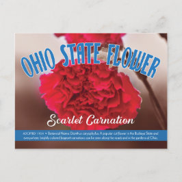State Flower of Ohio the Scarlet Carnation Vykort