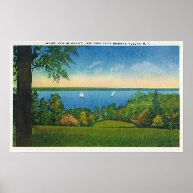 State Hwy Scenia View of Owasco Sjö Poster (Framsidan)