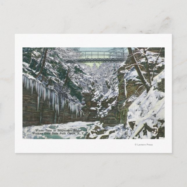 State Park Gorge Suspension Bridge View in Vykort (Framsida)