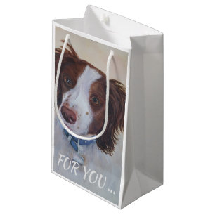 STATELIT AUBURN SETTER MIX