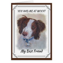 STATELIT AUBURN SETTER MIX