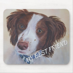 STATELIT AUBURN SETTER MIX MUSMATTA