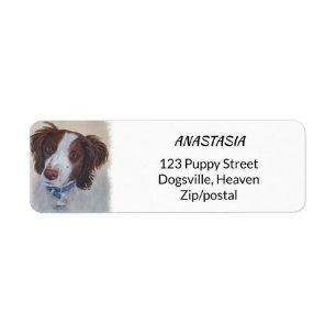 STATELIT AUBURN SETTER MIX RETURADRESS ETIKETT