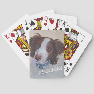 STATELIT AUBURN SETTER MIX SPELKORT