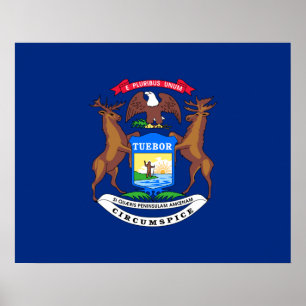 Staten Michigan Flagga Poster